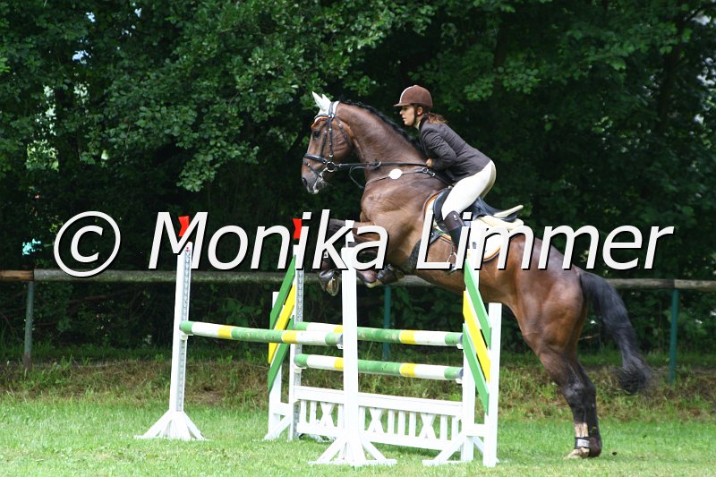 007L8051_Lavado_Spring Axx.JPG